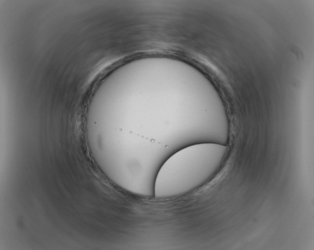 X0000114571259200910191026