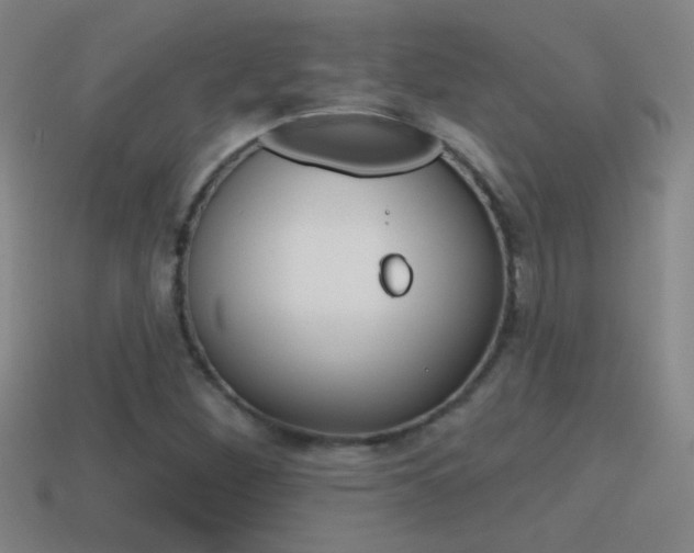 X0000114571260200910191026