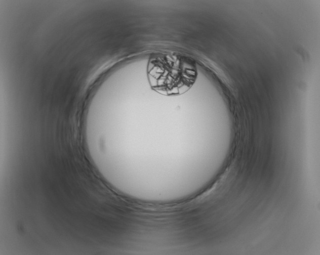 X0000114571261200910191026