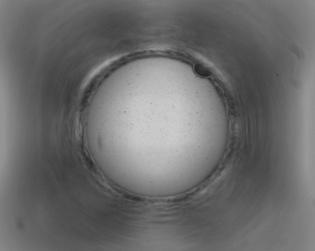 X0000114571262200910191026