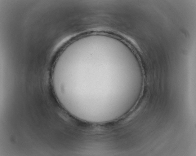X0000114571263200910191026