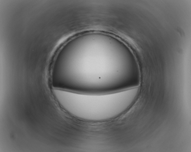 X0000114571264200910191026
