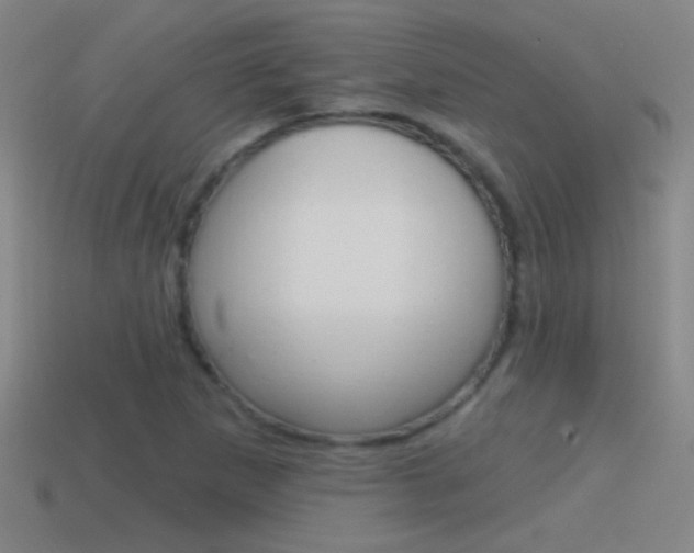 X0000114571265200910191026