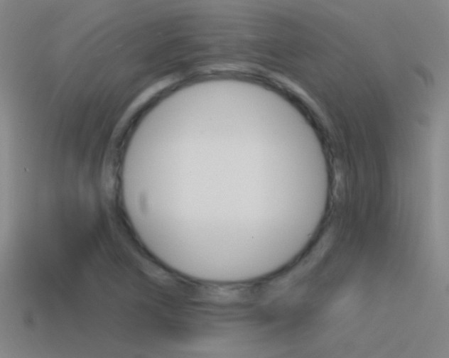 X0000114571266200910191026