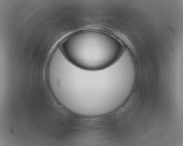 X0000114571268200910191026
