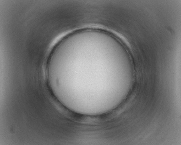 X0000114571271200910191026