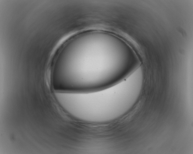 X0000114571272200910191026