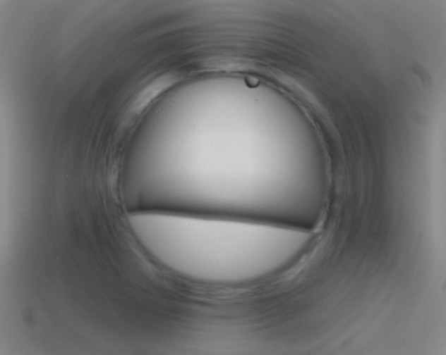 X0000114571273200910191026