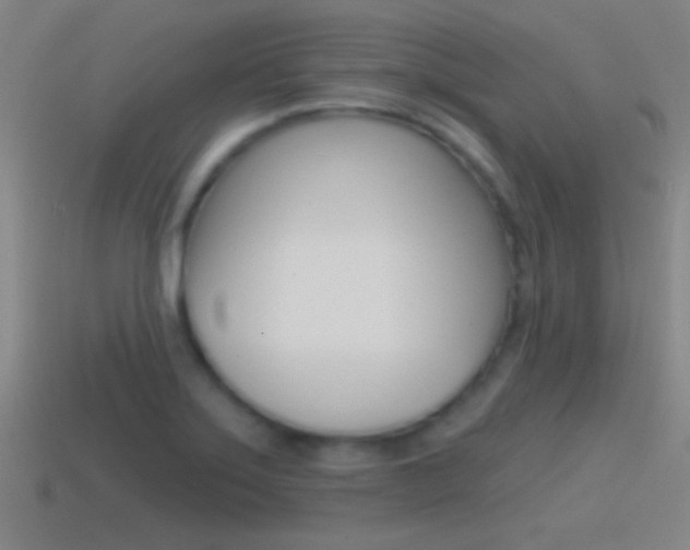 X0000114571275200910191026