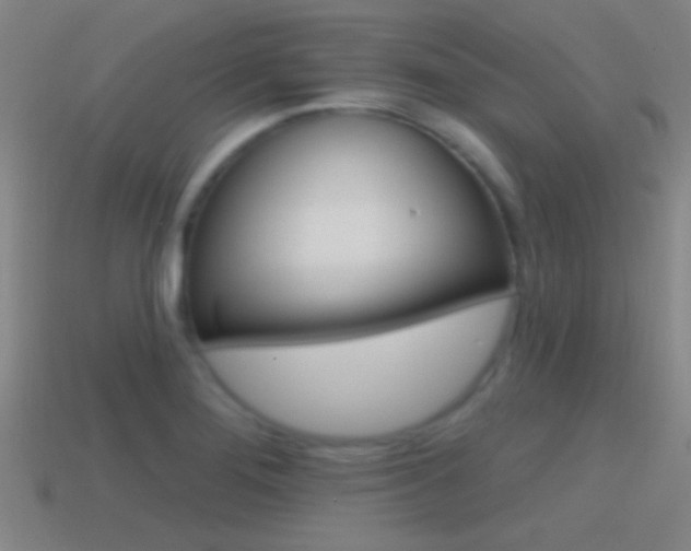 X0000114571276200910191026