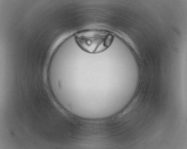 X0000114571277200910191026