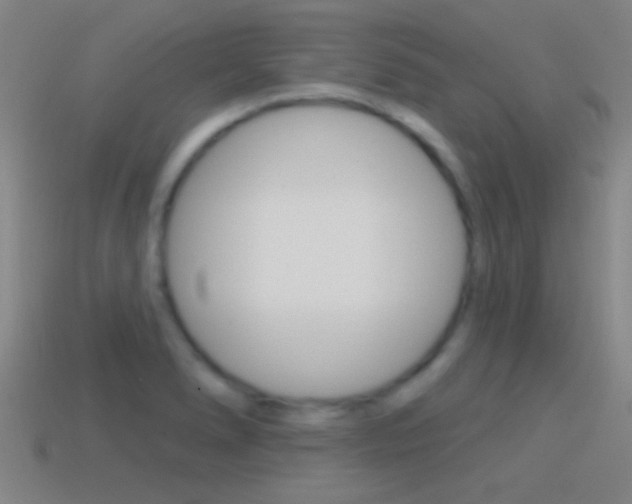 X0000114571278200910191026