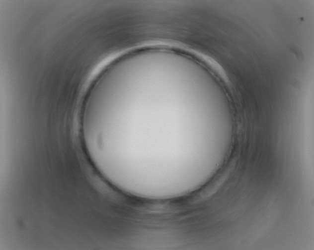 X0000114571279200910191026