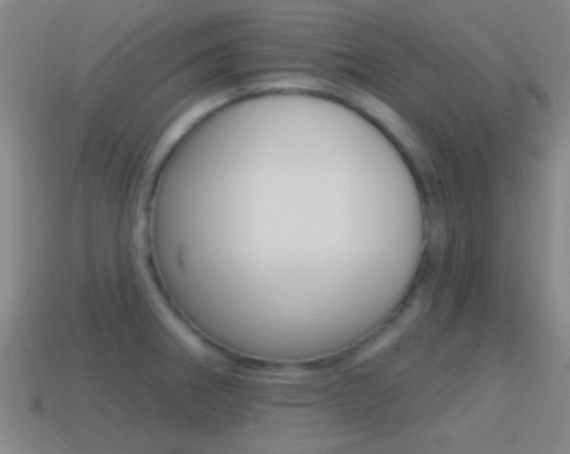 X0000114571282200910191026