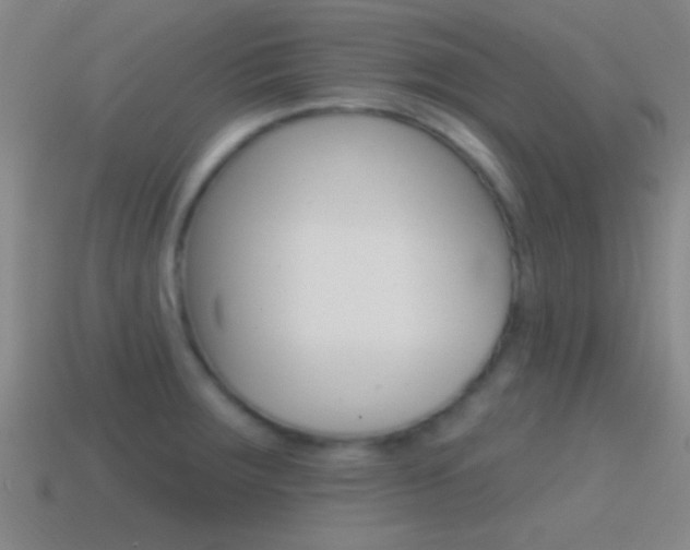 X0000114571283200910191026