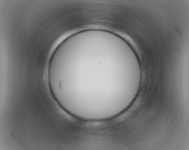 X0000114571286200910191025