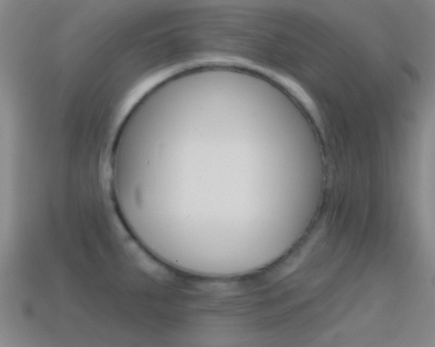 X0000114571287200910191025