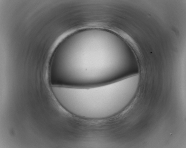 X0000114571288200910191025