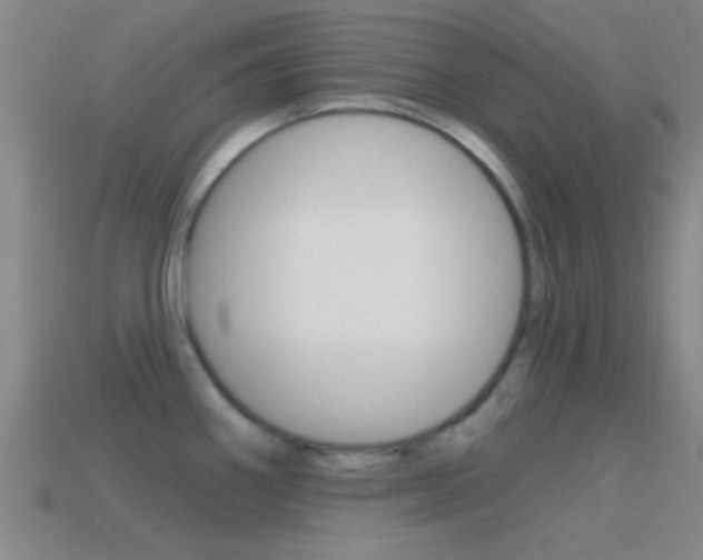 X0000114571290200910191025