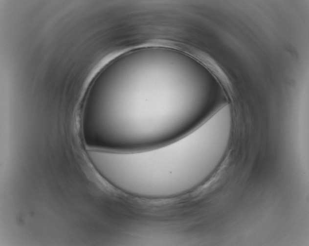 X0000114571292200910191025