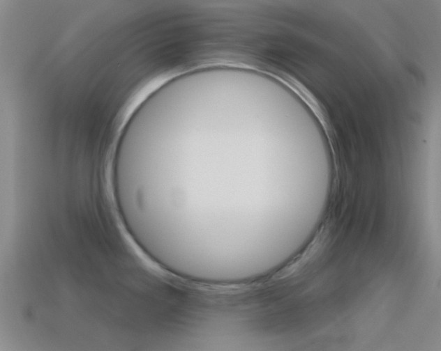 X0000114571293200910191025