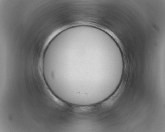 X0000114571294200910191025