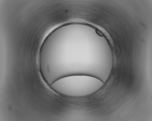 X0000114571295200910191025
