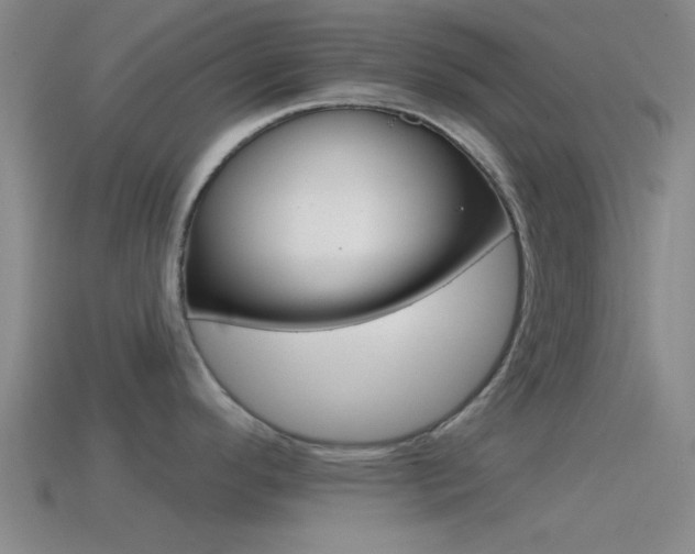 X0000114571296200910191025