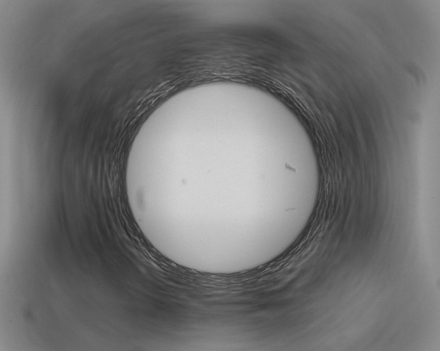 X0000114571298200910191025