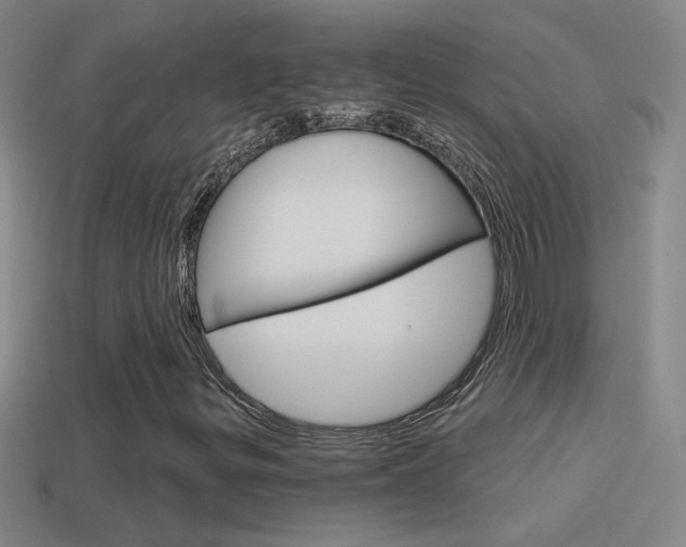 X0000114571299200910191025