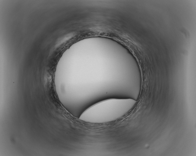 X0000114571302200910191025