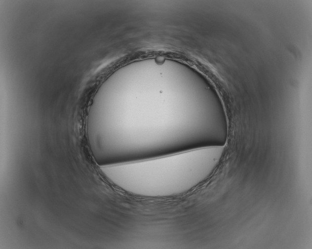 X0000114571303200910191025