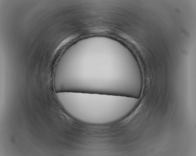 X0000114571306200910191025