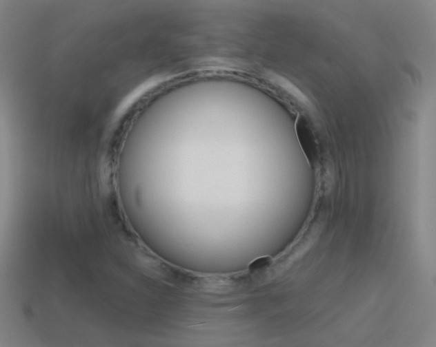 X0000114571310200910191025