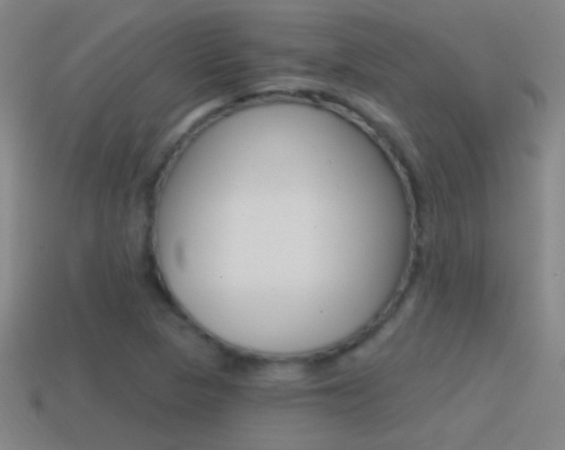 X0000114571313200910191025