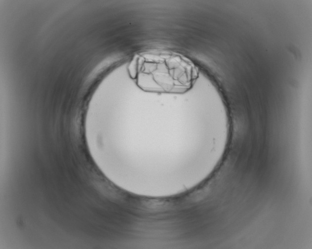 X0000114571314200910191025
