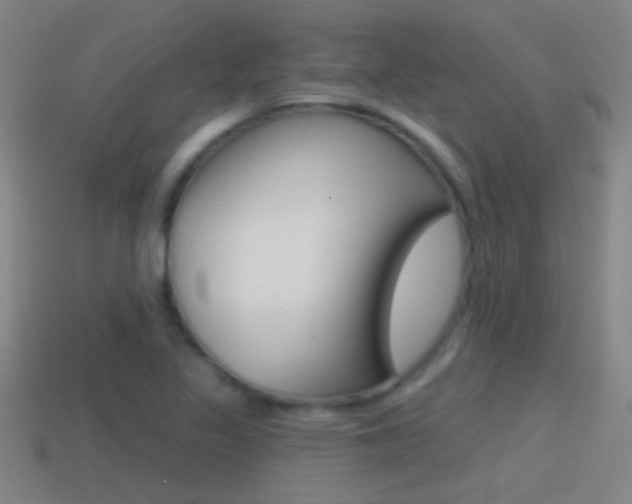 X0000114571317200910191025