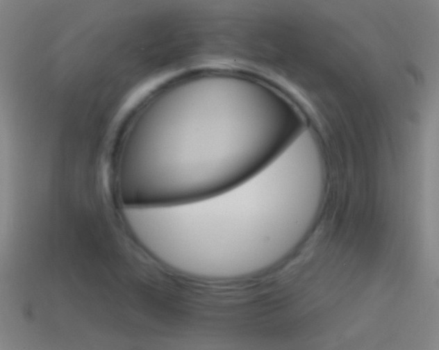 X0000114571319200910191025