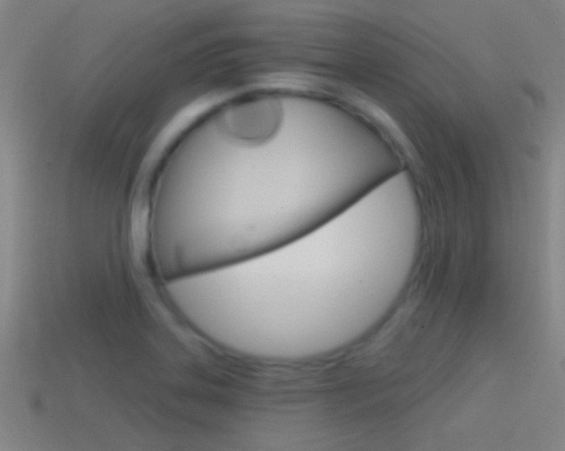 X0000114571323200910191025