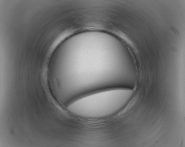 X0000114571325200910191025