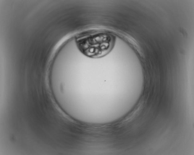 X0000114571326200910191025