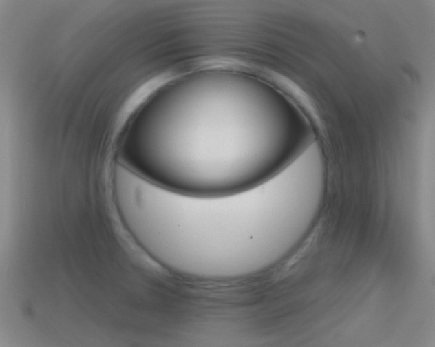 X0000114571330200910191025