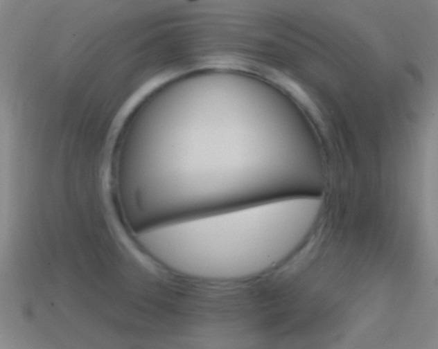 X0000114571331200910191025