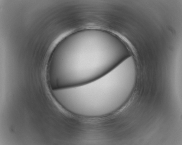 X0000114571333200910191025