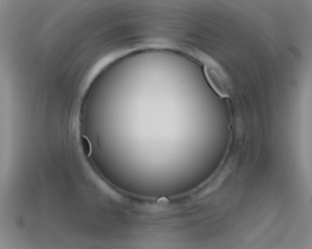 X0000114571334200910191025