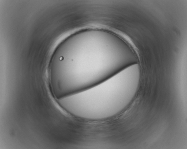 X0000114571335200910191025