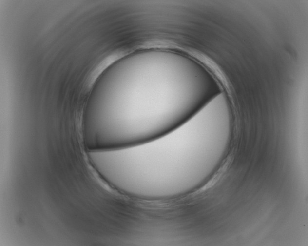 X0000114571337200910191025