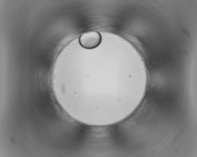 X0000114571338200910191025