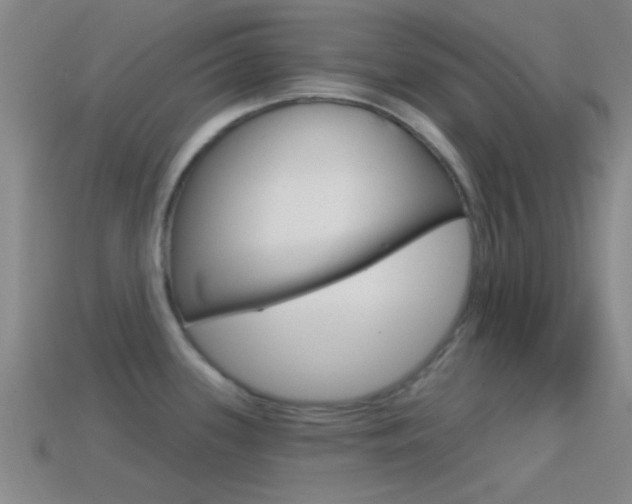 X0000114571339200910191025