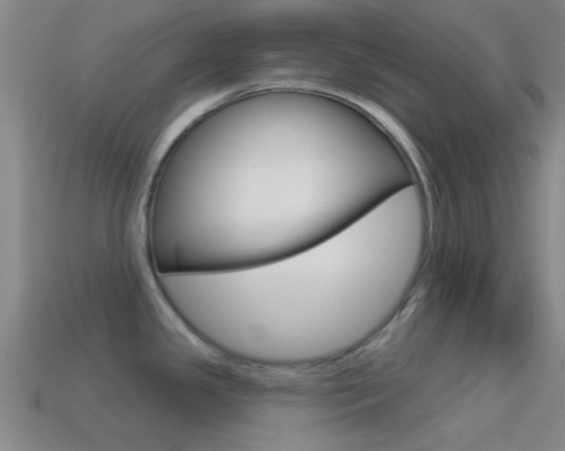 X0000114571341200910191025